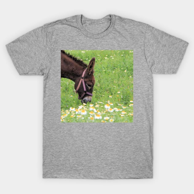 Happy Donkey T-Shirt by WesternExposure